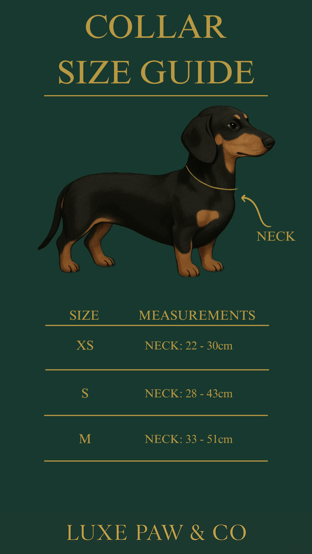 Luxe Nude Luxe Set PRE-ORDER