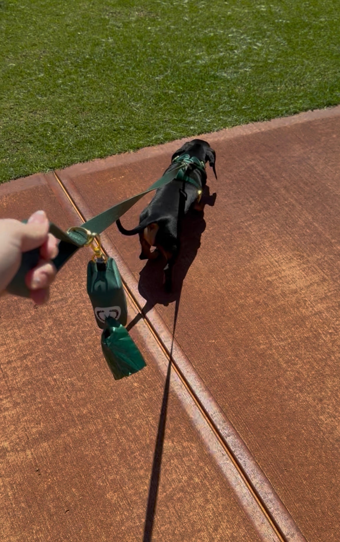 Poop Bag Holder - Forest Green