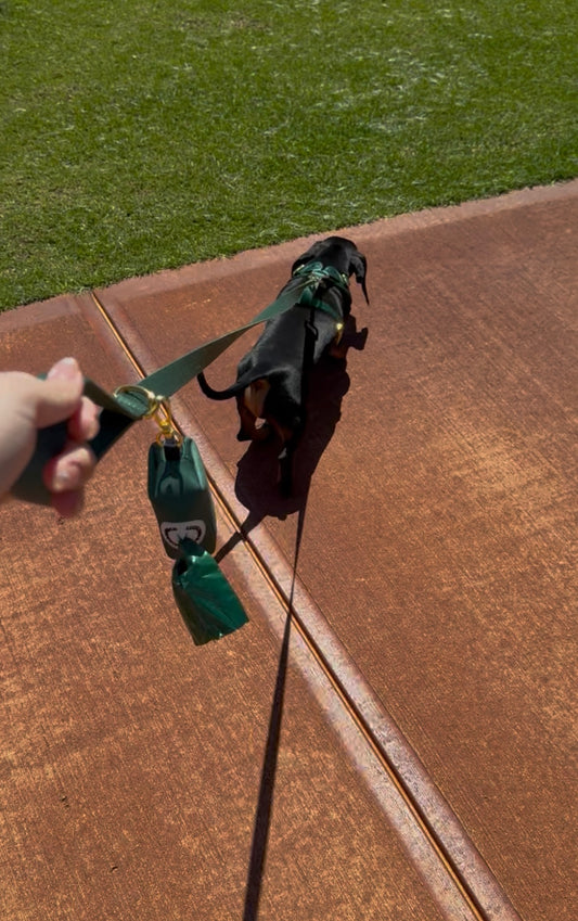 Poop Bag Holder - Forest Green