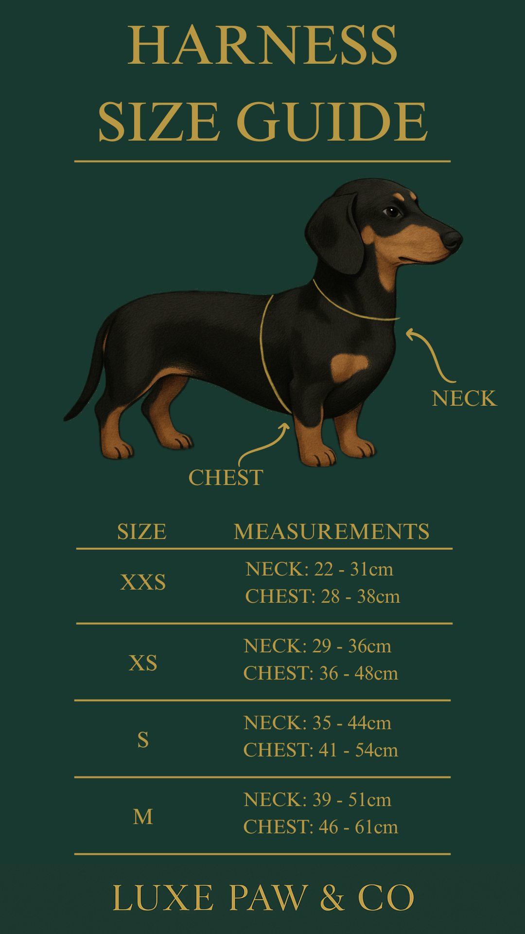 Luxe Nude Luxe Set PRE-ORDER