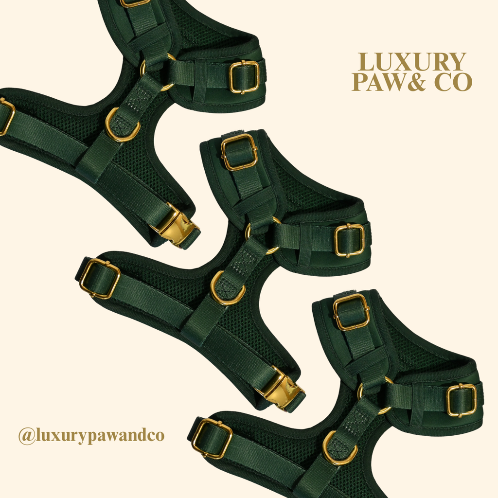 Forrest Green - Harness -  WHOOPSIE SALE