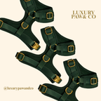Forrest Green - Harness -  WHOOPSIE SALE