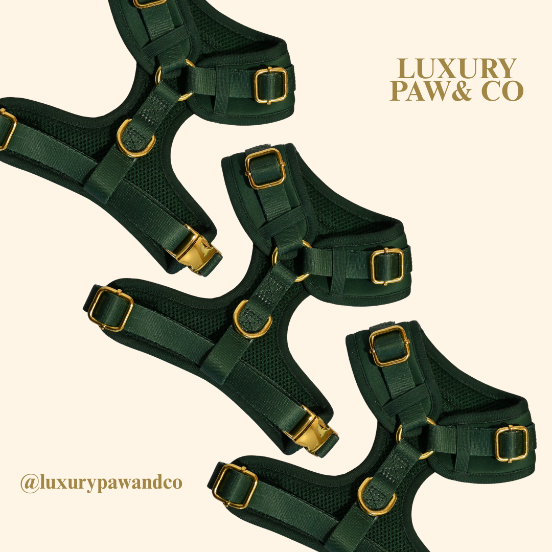 Forrest Green - Harness -  WHOOPSIE SALE