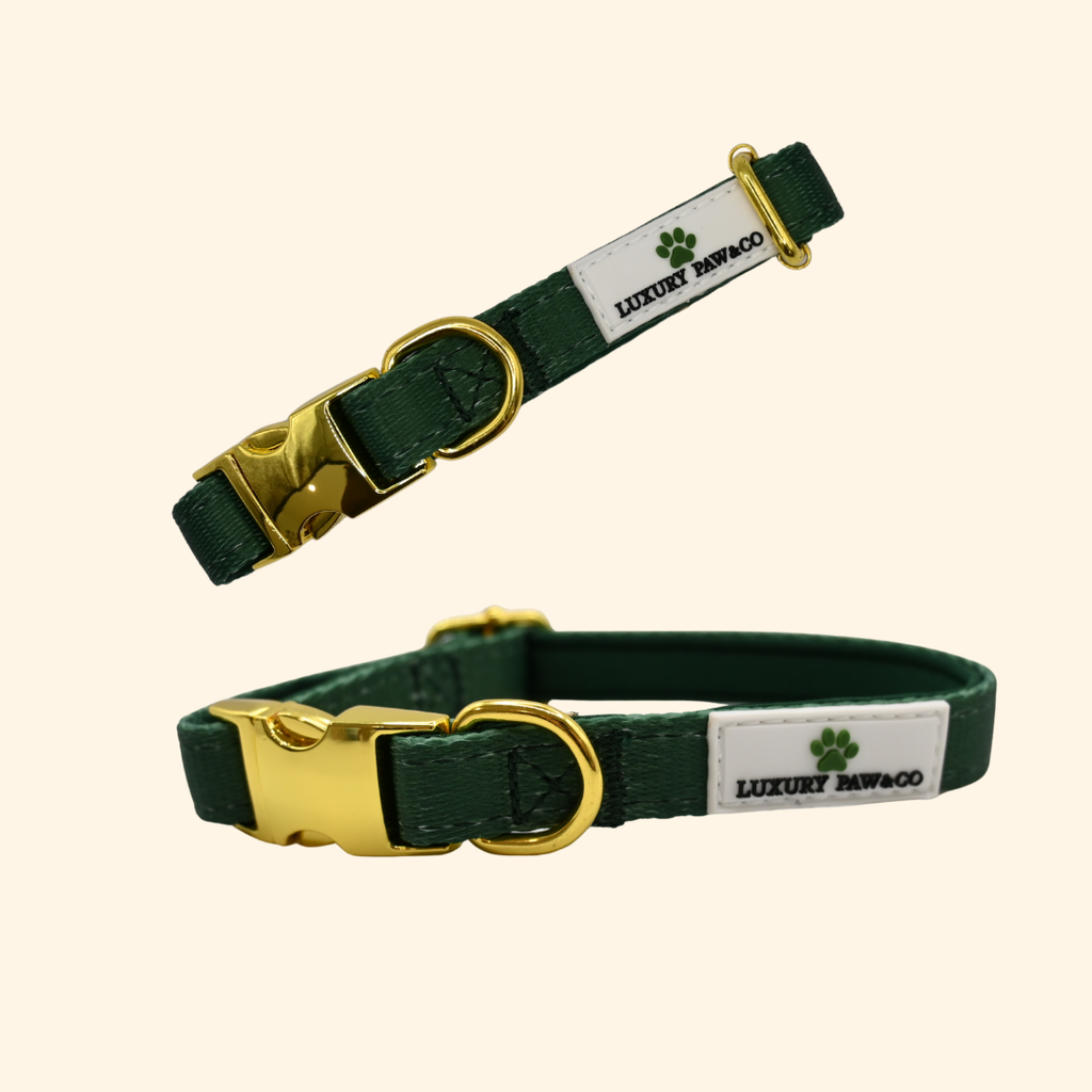Forrest Green - Collar -  WHOOPSIE SALE