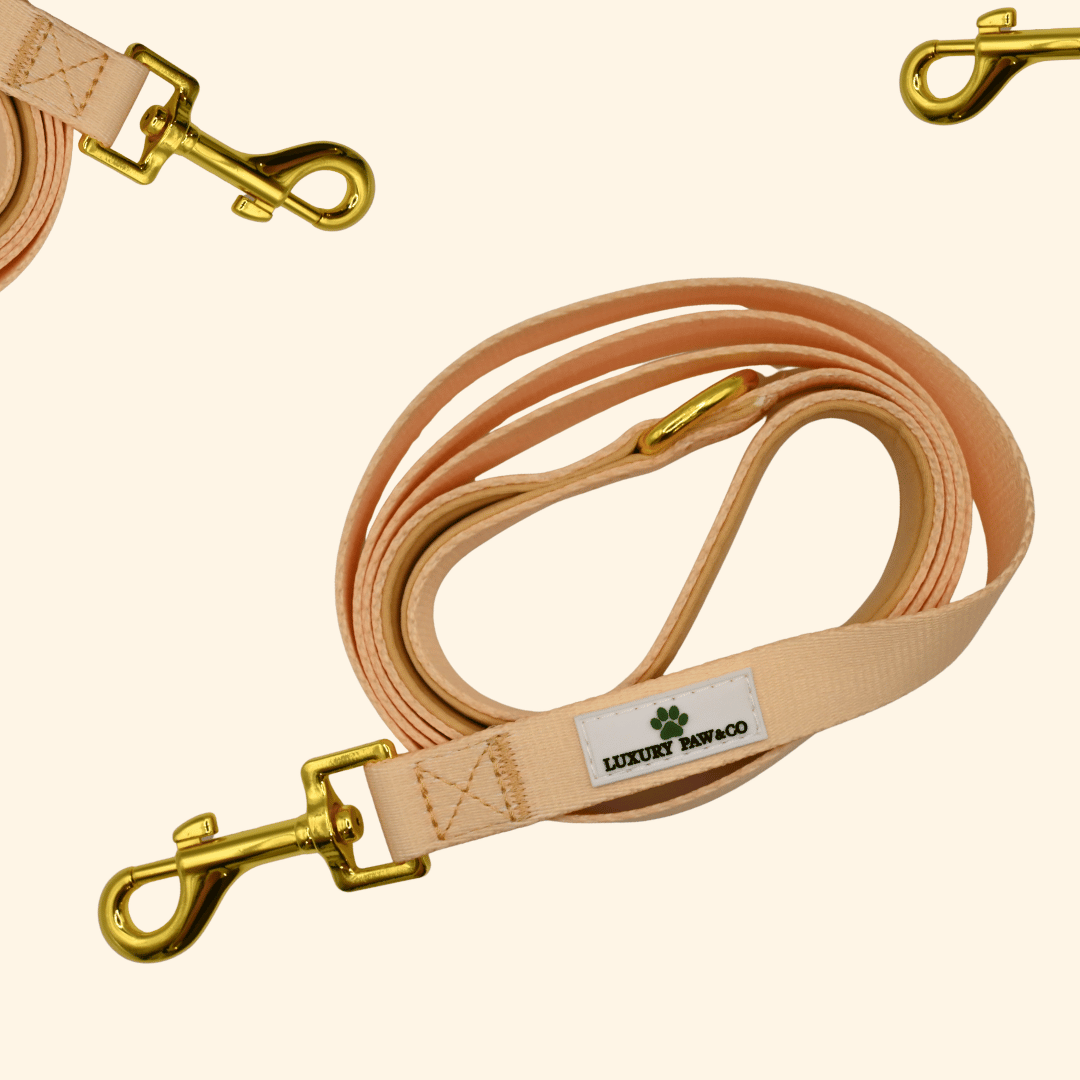 Champagne - Lead - WHOOPSIE SALE