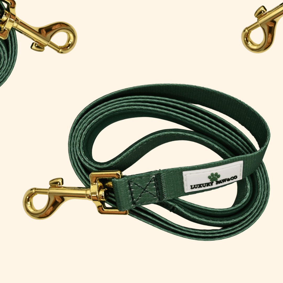 Forest Green - Lead - WHOOPSIE SALE