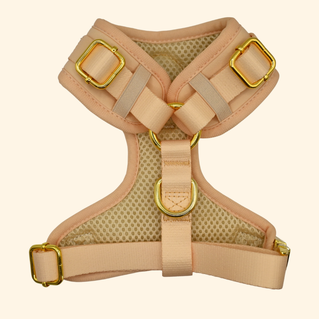 Champagne - Harness - WHOOPSIE SALE