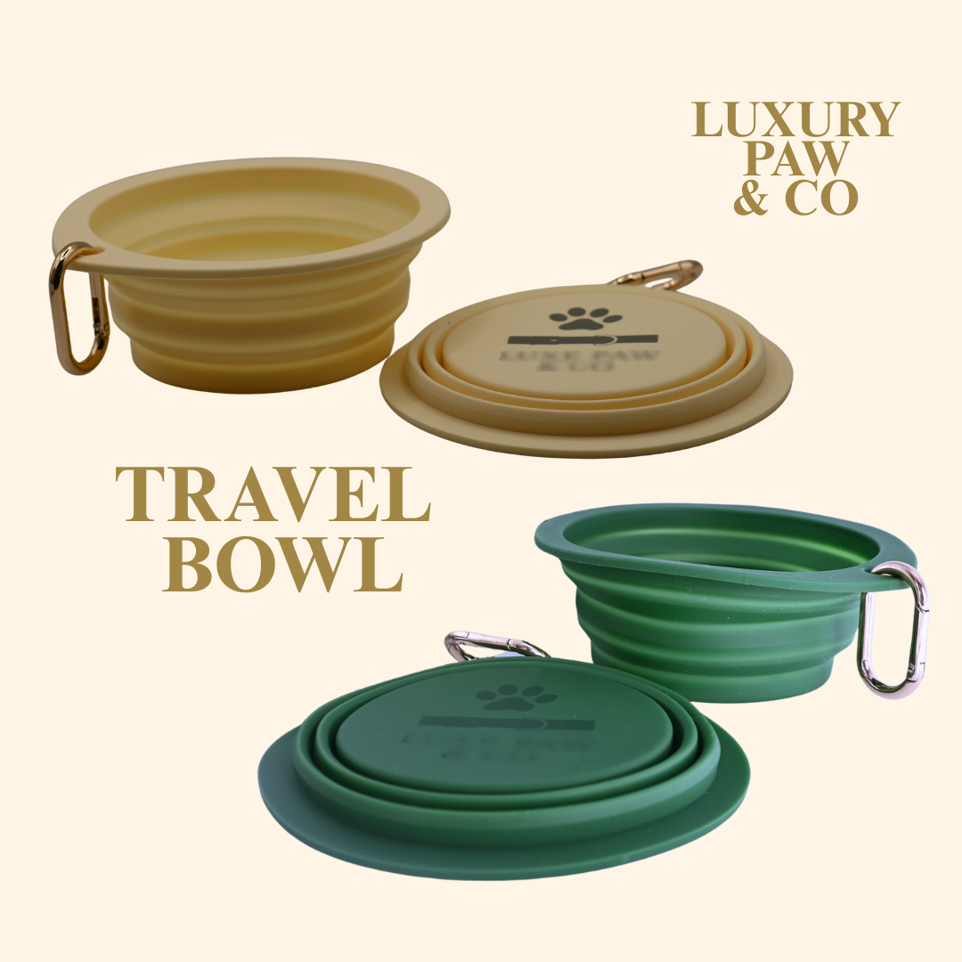 TRAVEL BOWL - WHOOPSIE SALE