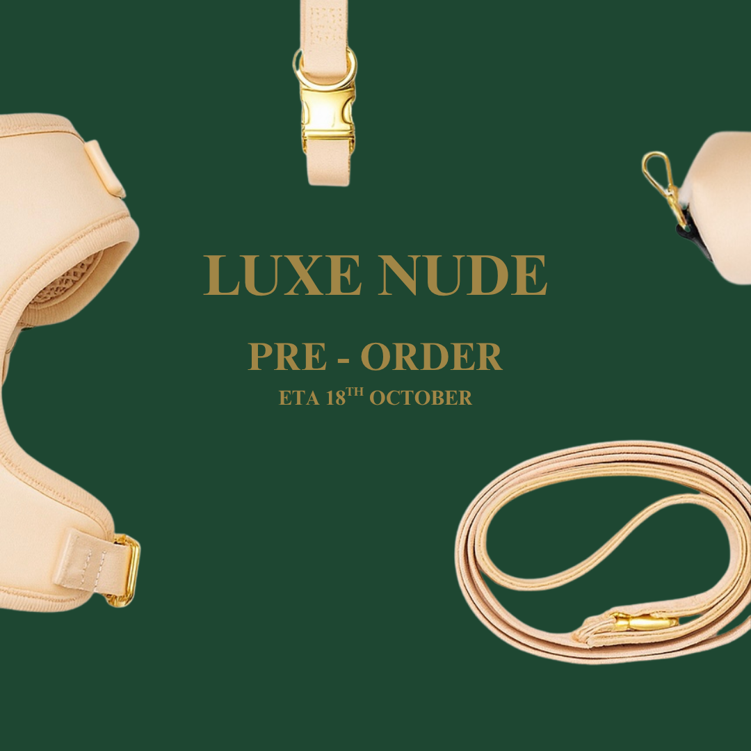 Luxe Nude Collar PRE-ORDER